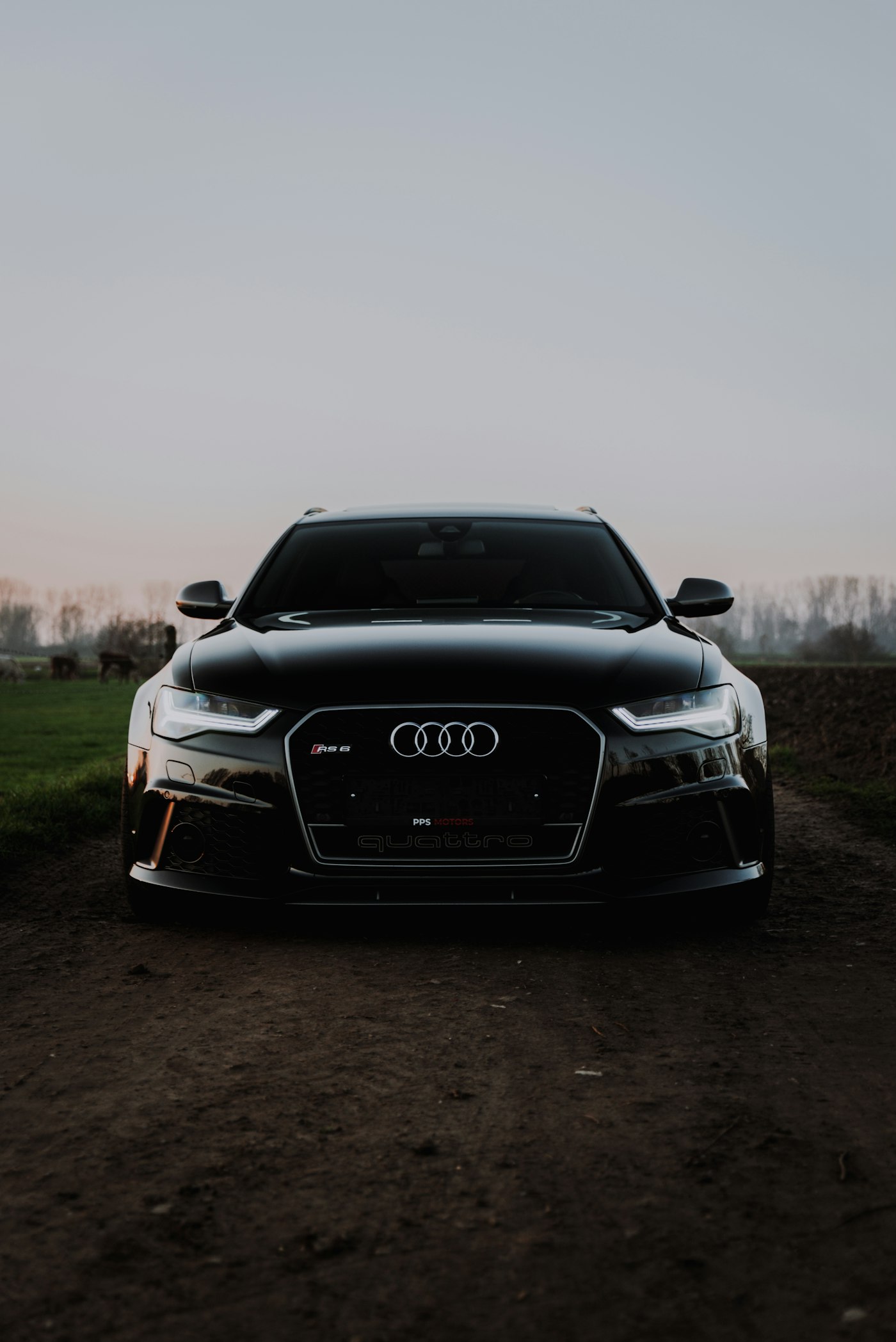 Audi Performance Estate